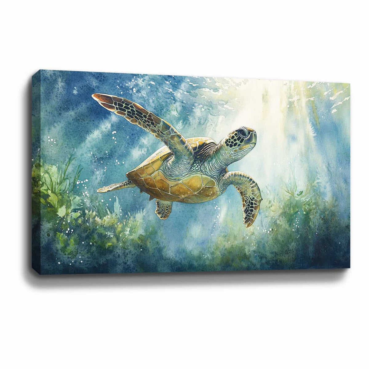 Sea Turtle Canvas Art