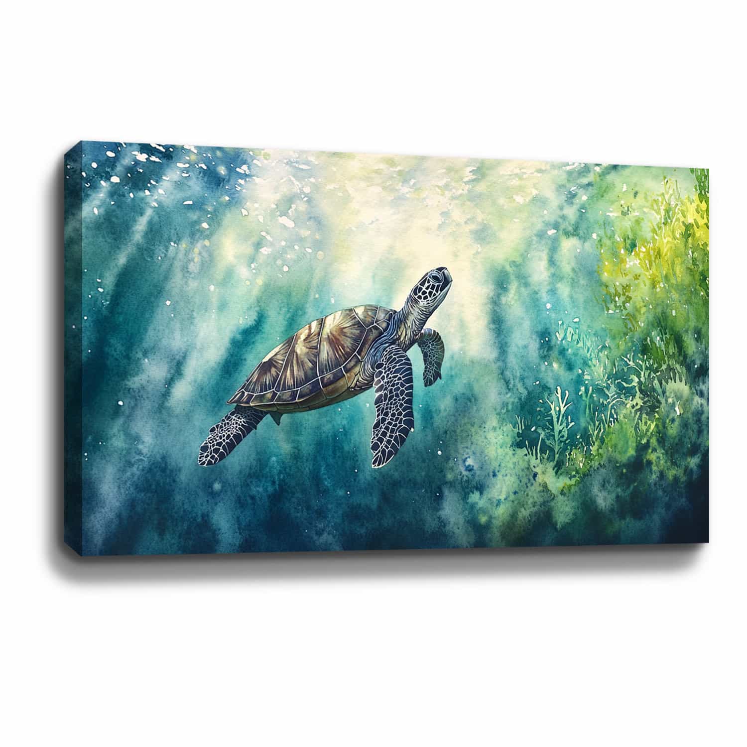 Sea Turtle Canvas Art