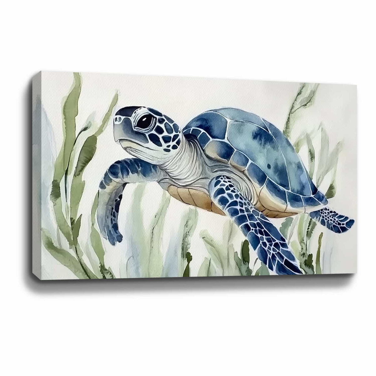 Sea Turtle Canvas Art