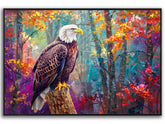 Hawk Canvas Art