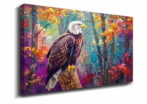Hawk Canvas Art