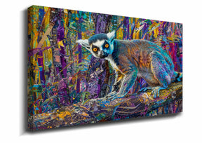 Ring Tailed Lemur Canvas Art