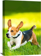 Custom Canvas Print Personalized Canvas Print From Your Photo