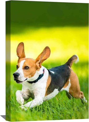 Custom Canvas Print Personalized Canvas Print From Your Photo