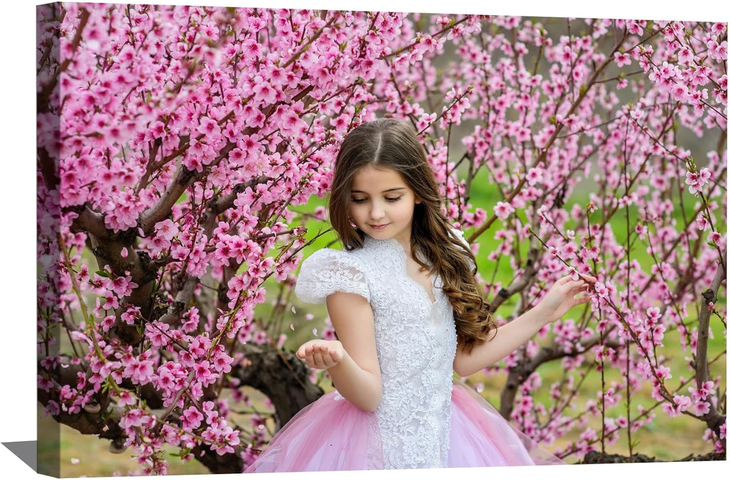 Custom Canvas Print Personalized Canvas Print From Your Photo