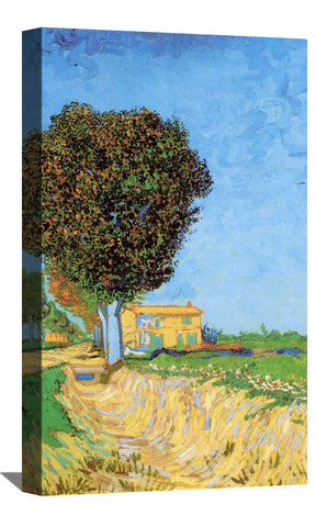 A Lane near Arles Canvas Art