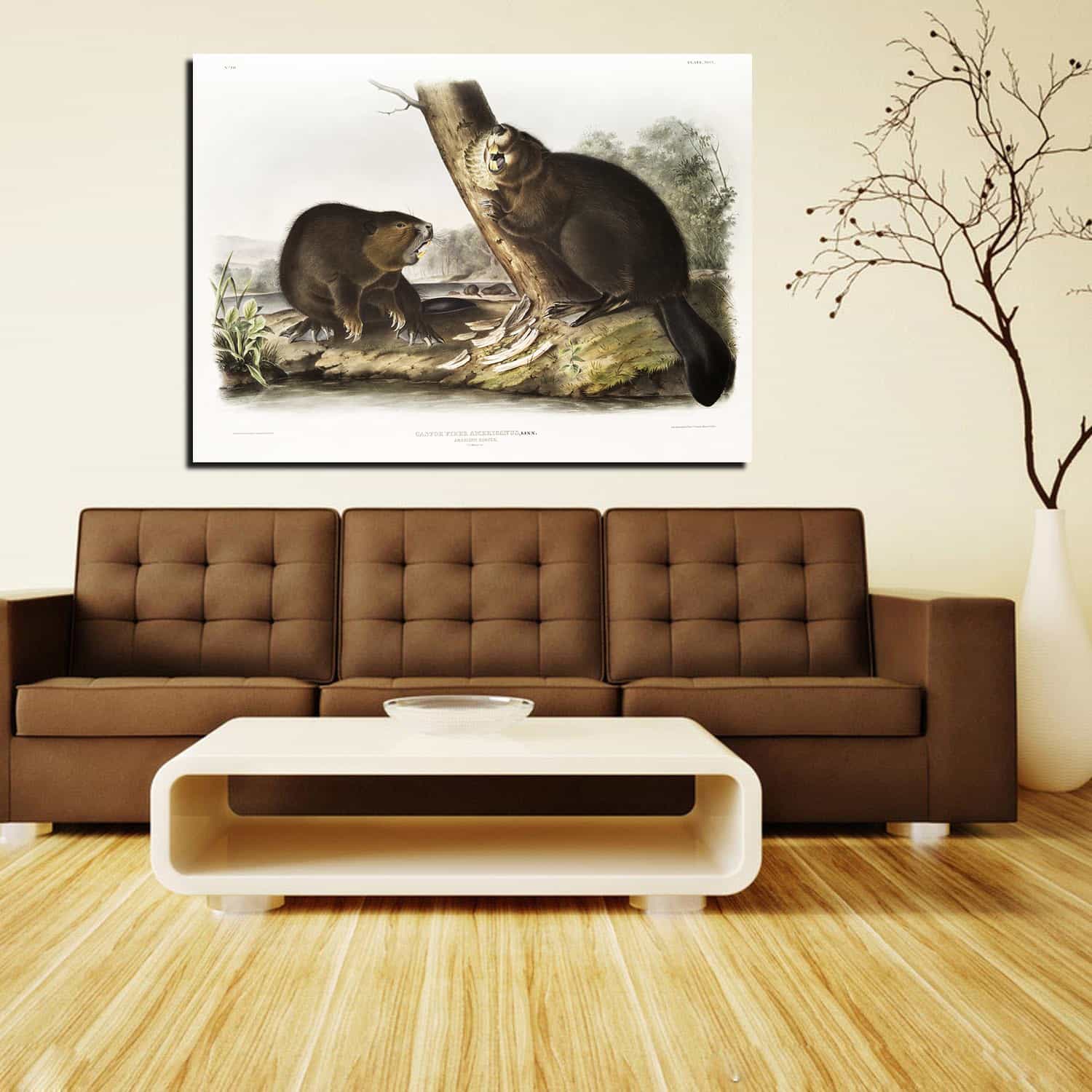 American Beaver Canvas Art