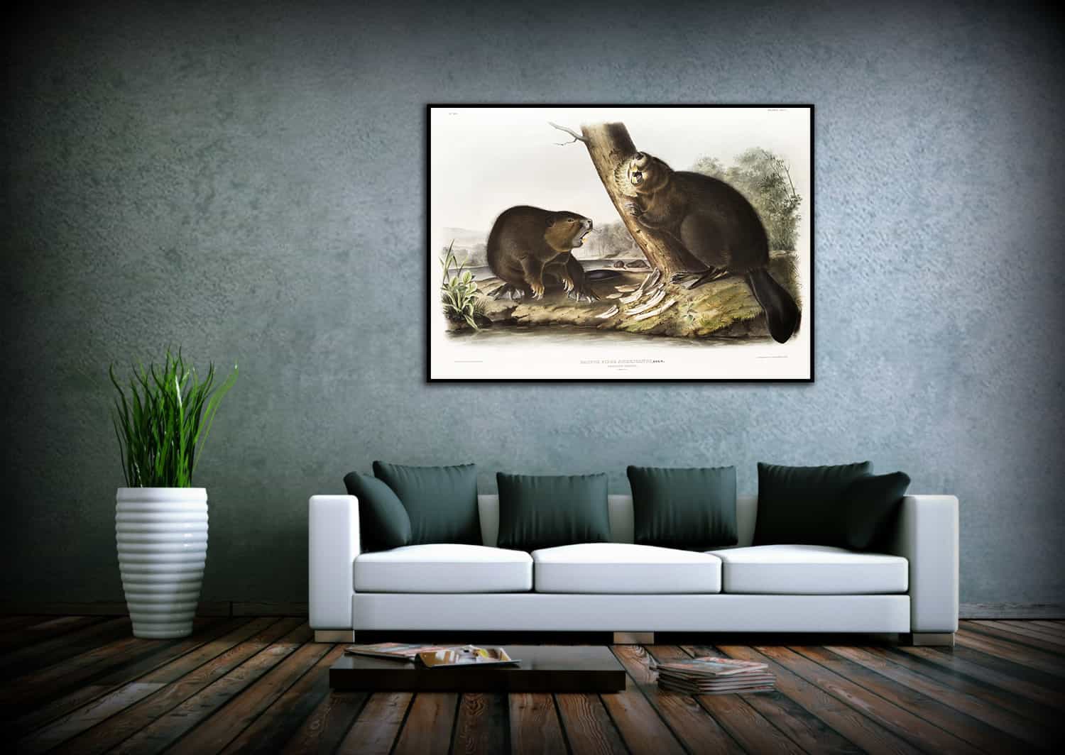 American Beaver Canvas Art