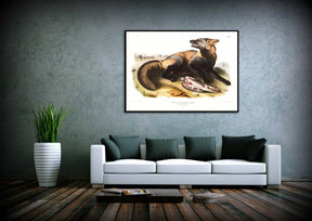 American Cross Fox Canvas Art