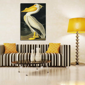 American White Pelican Canvas Art