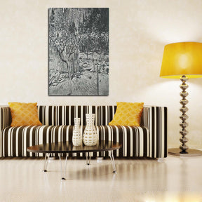 Apricot Trees in Blossom Canvas Art