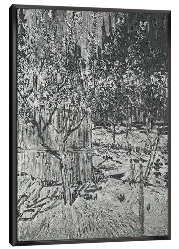 Apricot Trees in Blossom Canvas Art