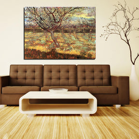 Apricot Trees in Blossom 2 Canvas Art