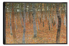 Beech Grove Canvas Art