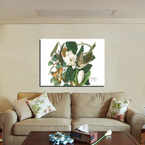 Black billed Cuckoo Canvas Art