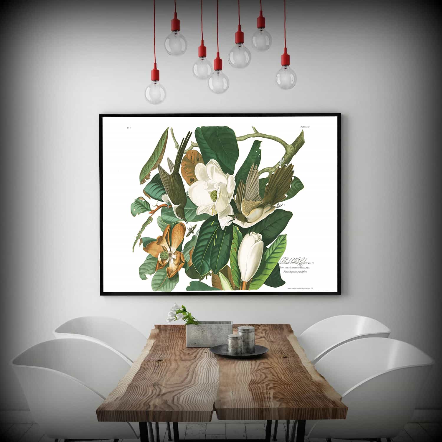 Black billed Cuckoo Canvas Art