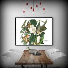 Black billed Cuckoo Canvas Art