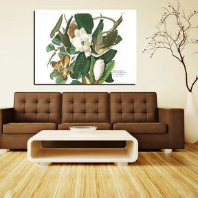 Black billed Cuckoo Canvas Art