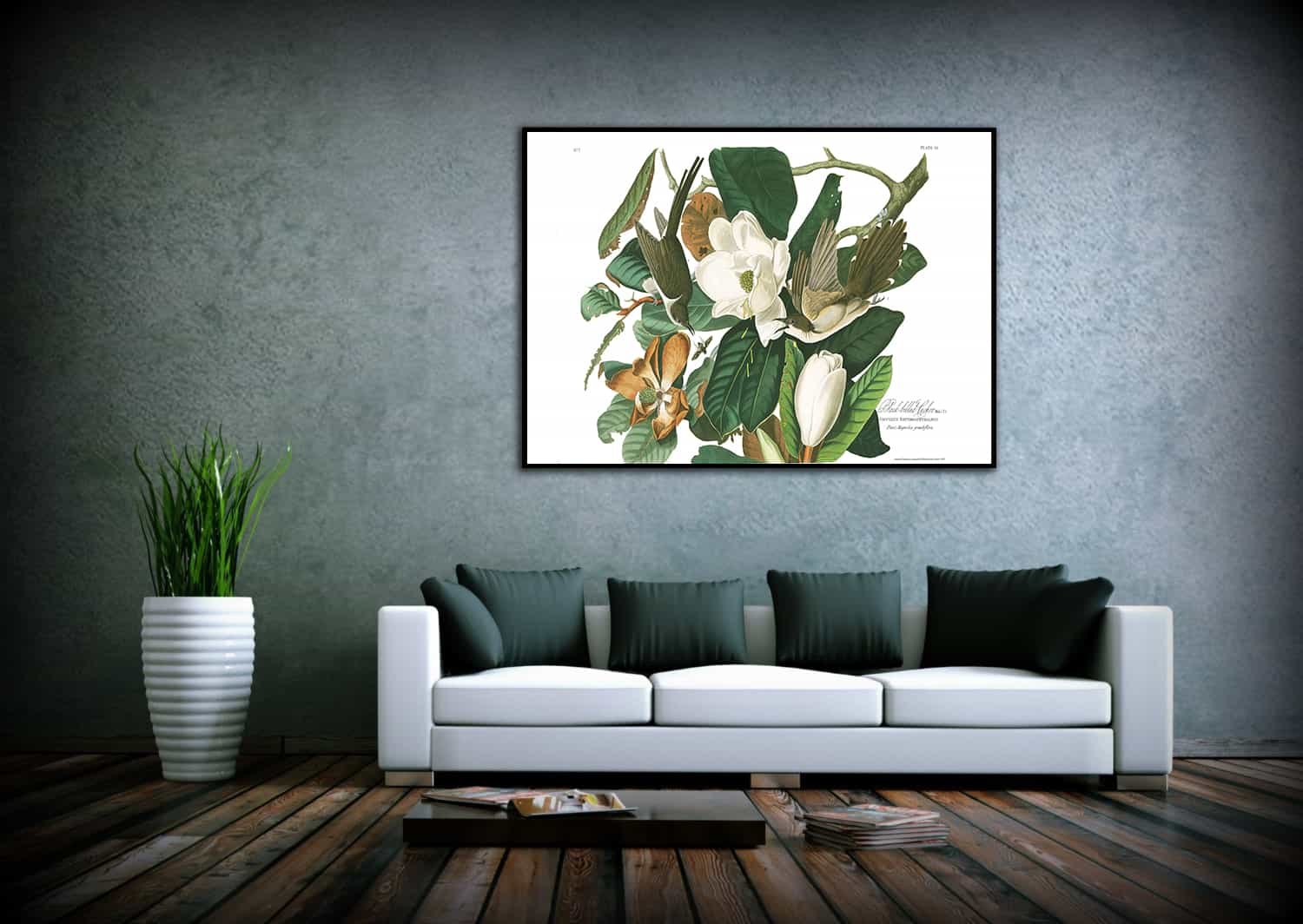 Black billed Cuckoo Canvas Art