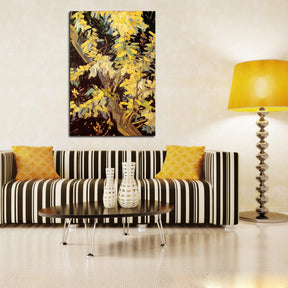 Blossoming Acacia Branches Canvas Art