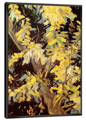 Blossoming Acacia Branches Canvas Art