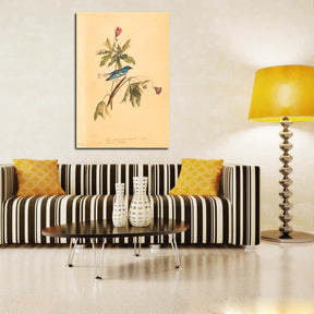 Blue Yellow Warbler Canvas Art