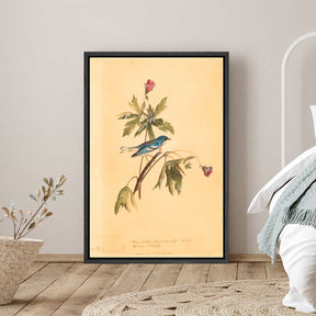 Blue Yellow Warbler Canvas Art