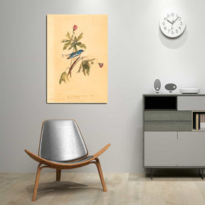 Blue Yellow Warbler Canvas Art