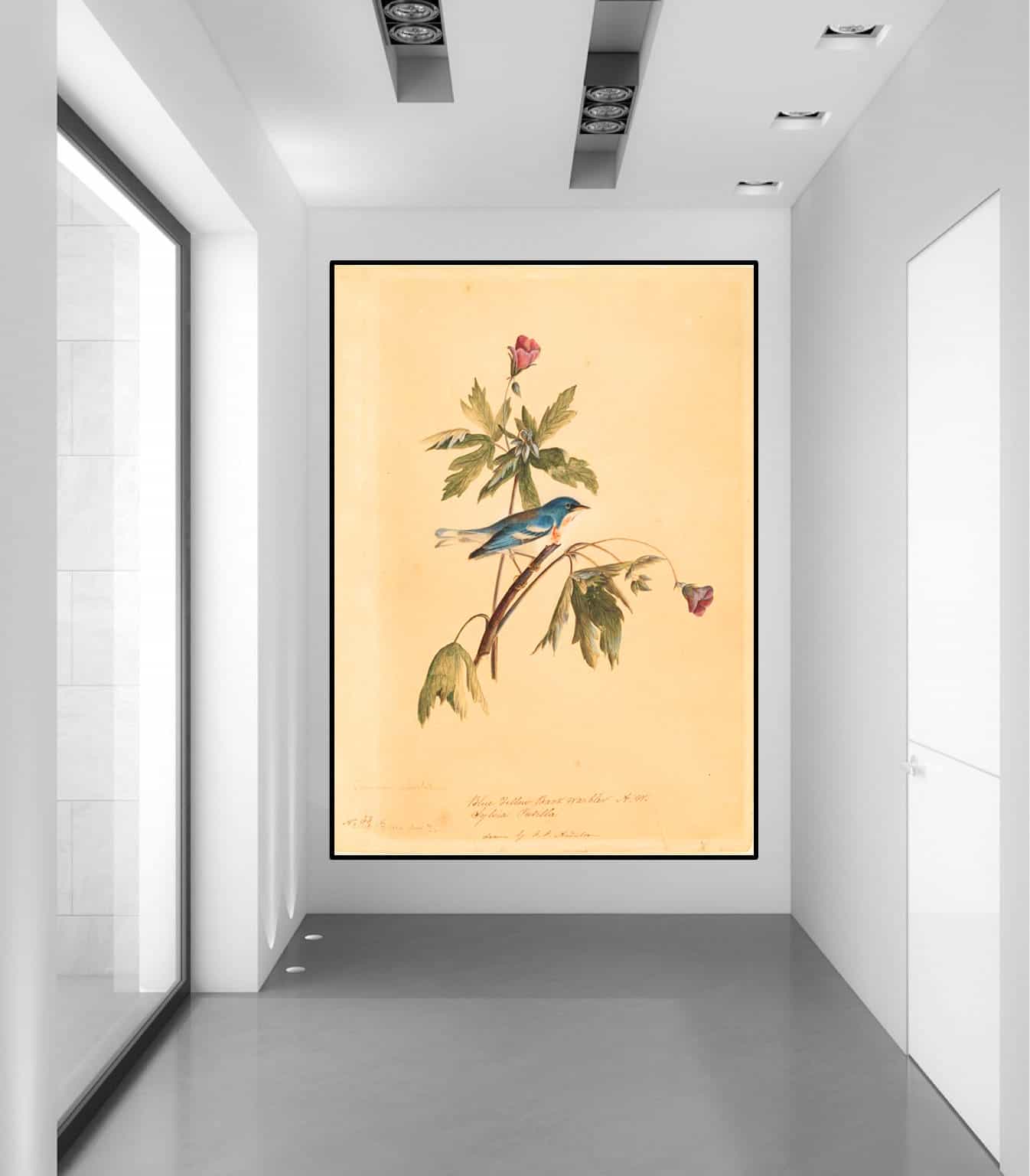 Blue Yellow Warbler Canvas Art