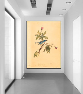 Blue Yellow Warbler Canvas Art