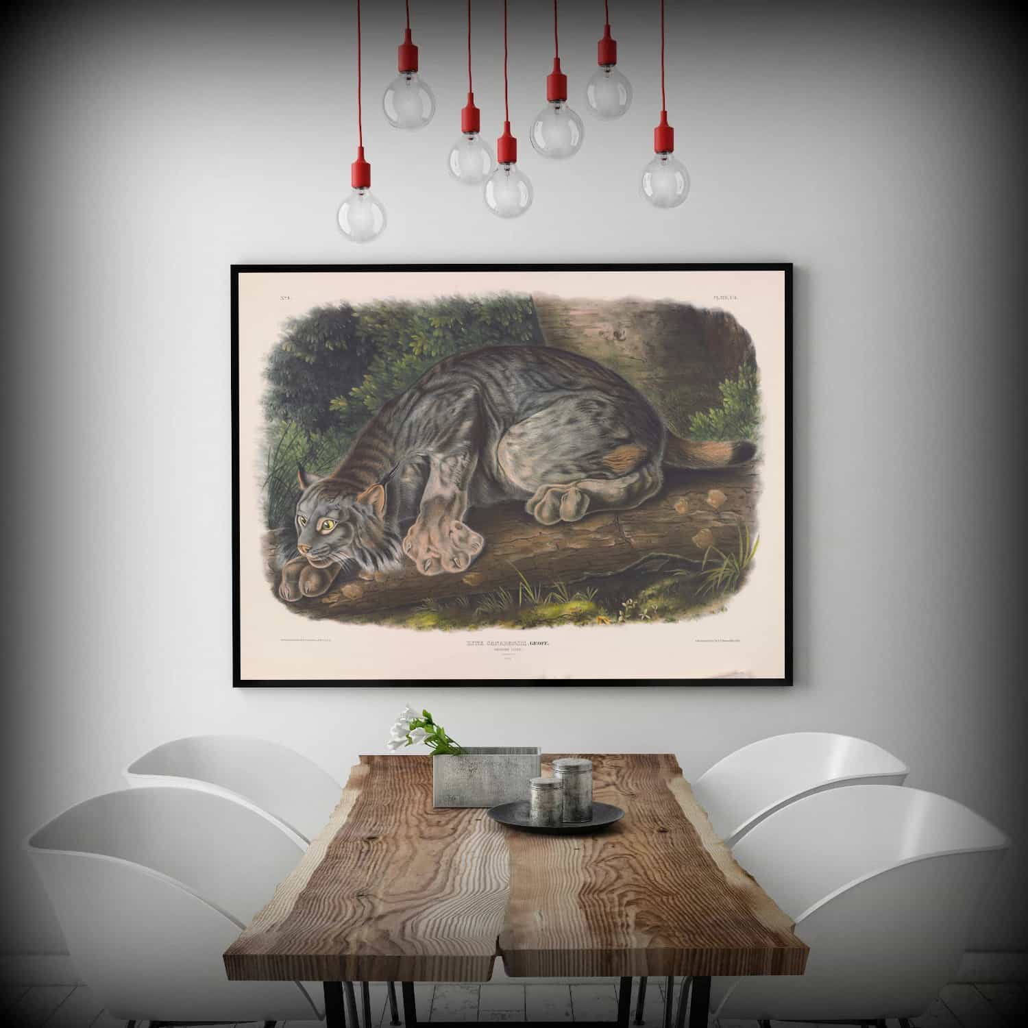 Canada Lynx Canvas Art