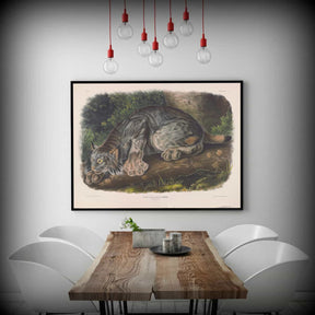 Canada Lynx Canvas Art