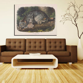 Canada Lynx Canvas Art
