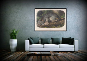 Canada Lynx Canvas Art