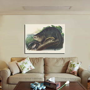 Canada Otter Canvas Art