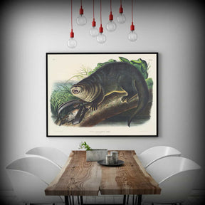 Canada Otter Canvas Art