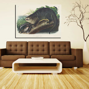Canada Otter Canvas Art