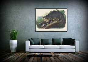 Canada Otter Canvas Art