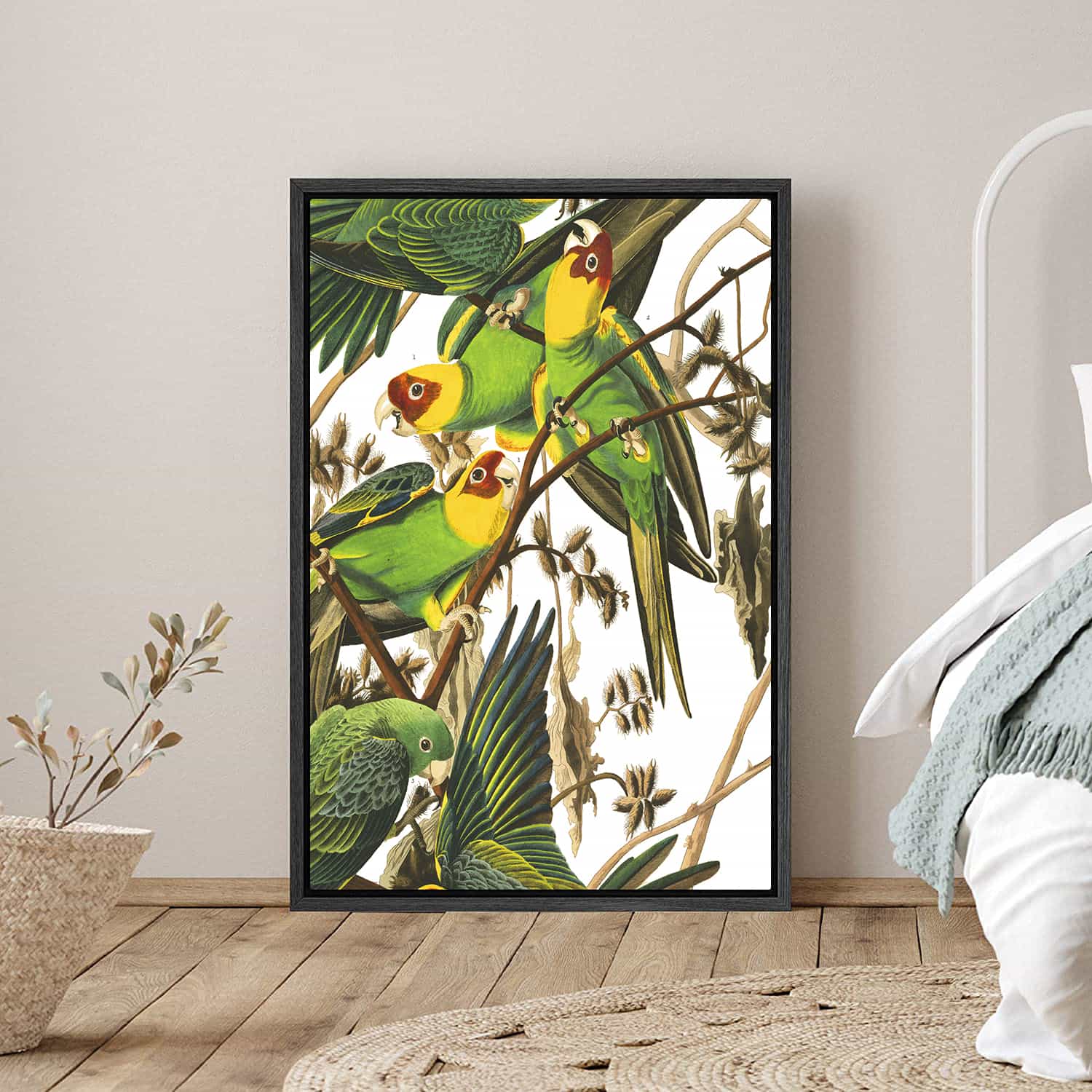 Carolina Parrot Canvas Art