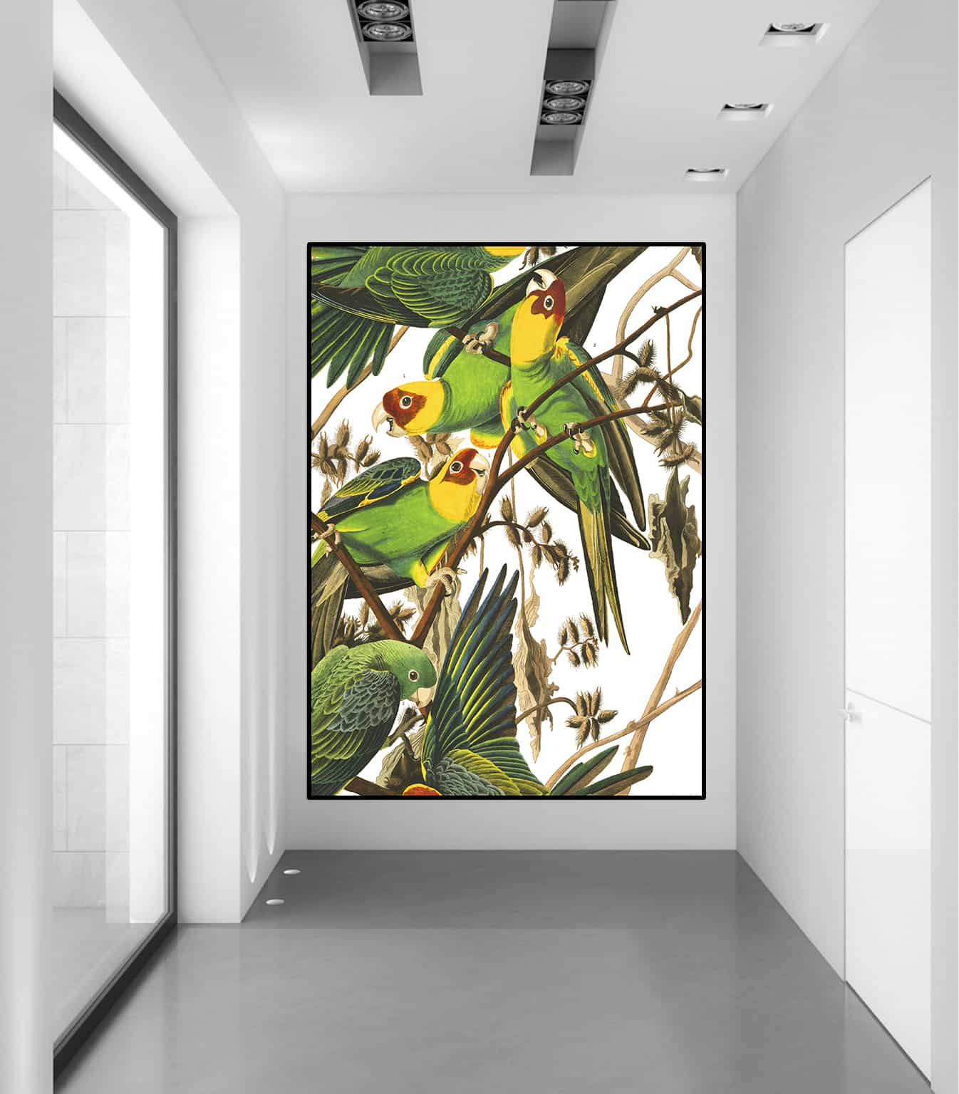 Carolina Parrot Canvas Art