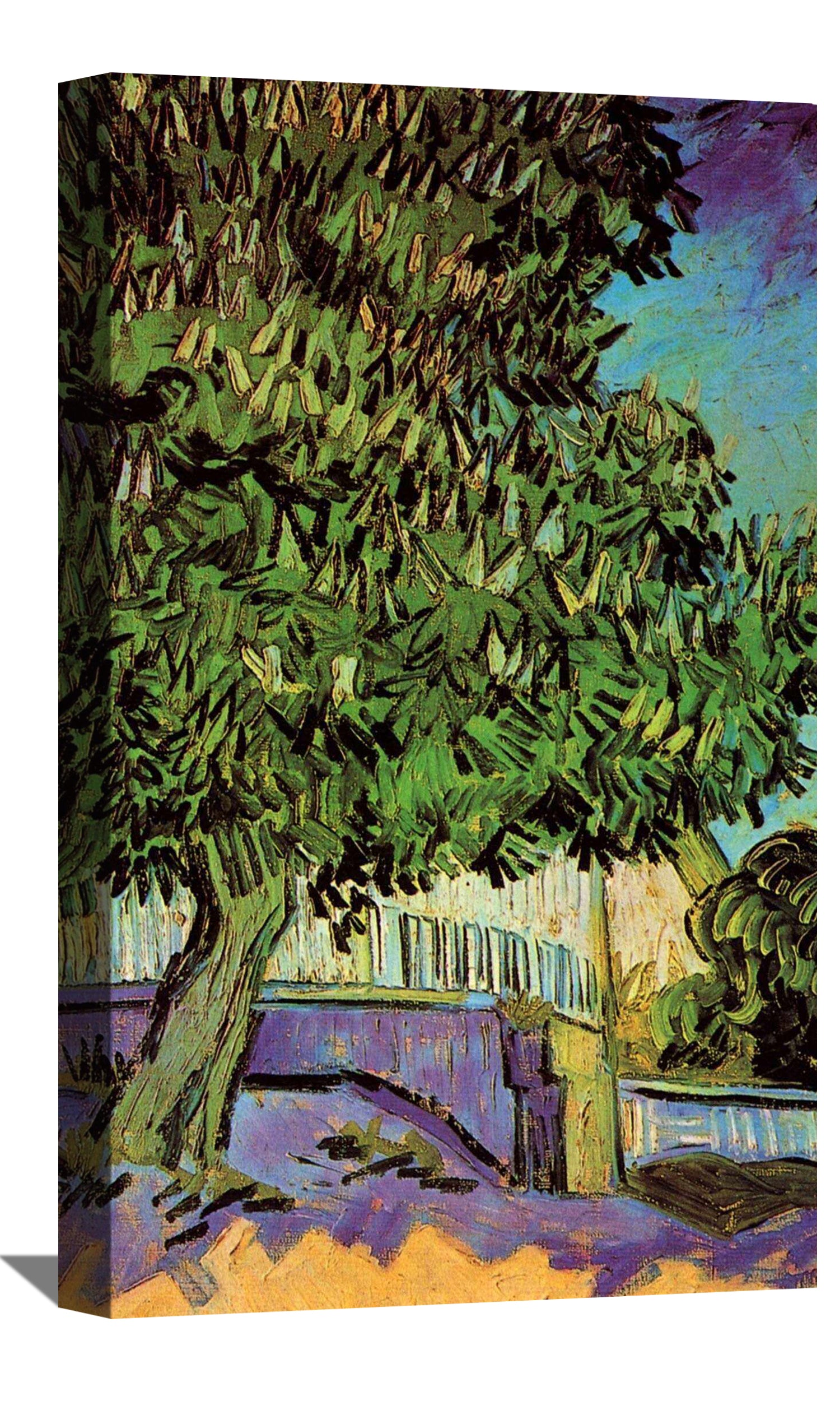 Chestnut Tree in Blossom Canvas Art