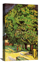Chestnut Trees in Blossom Canvas Art