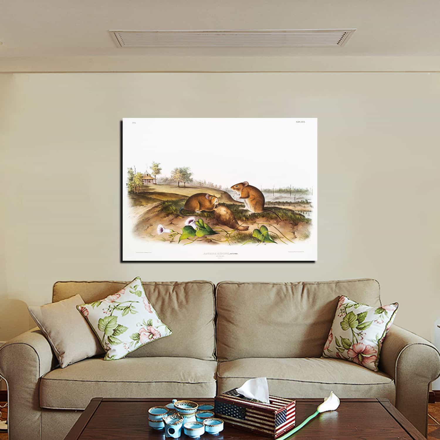 Cotton Rat Canvas Art