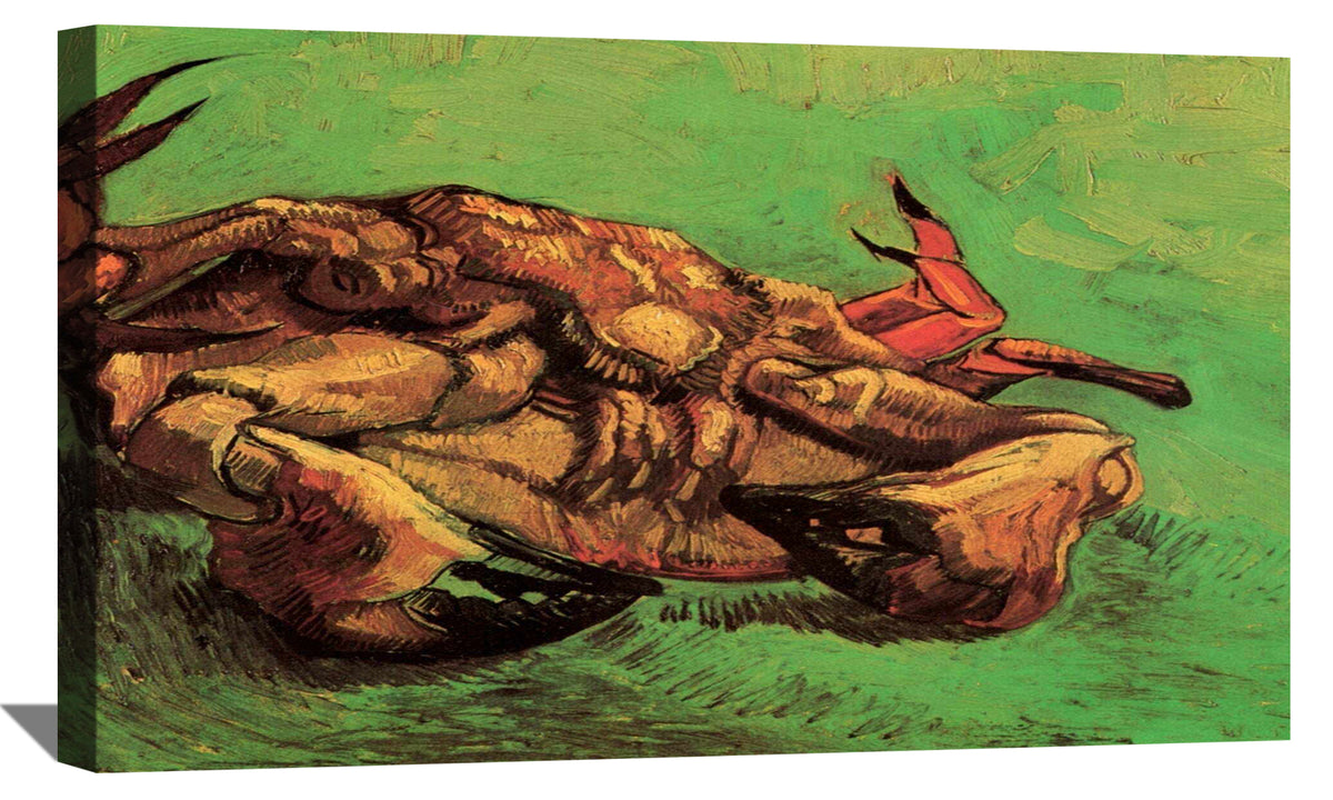 Crab on Its Back Canvas Art