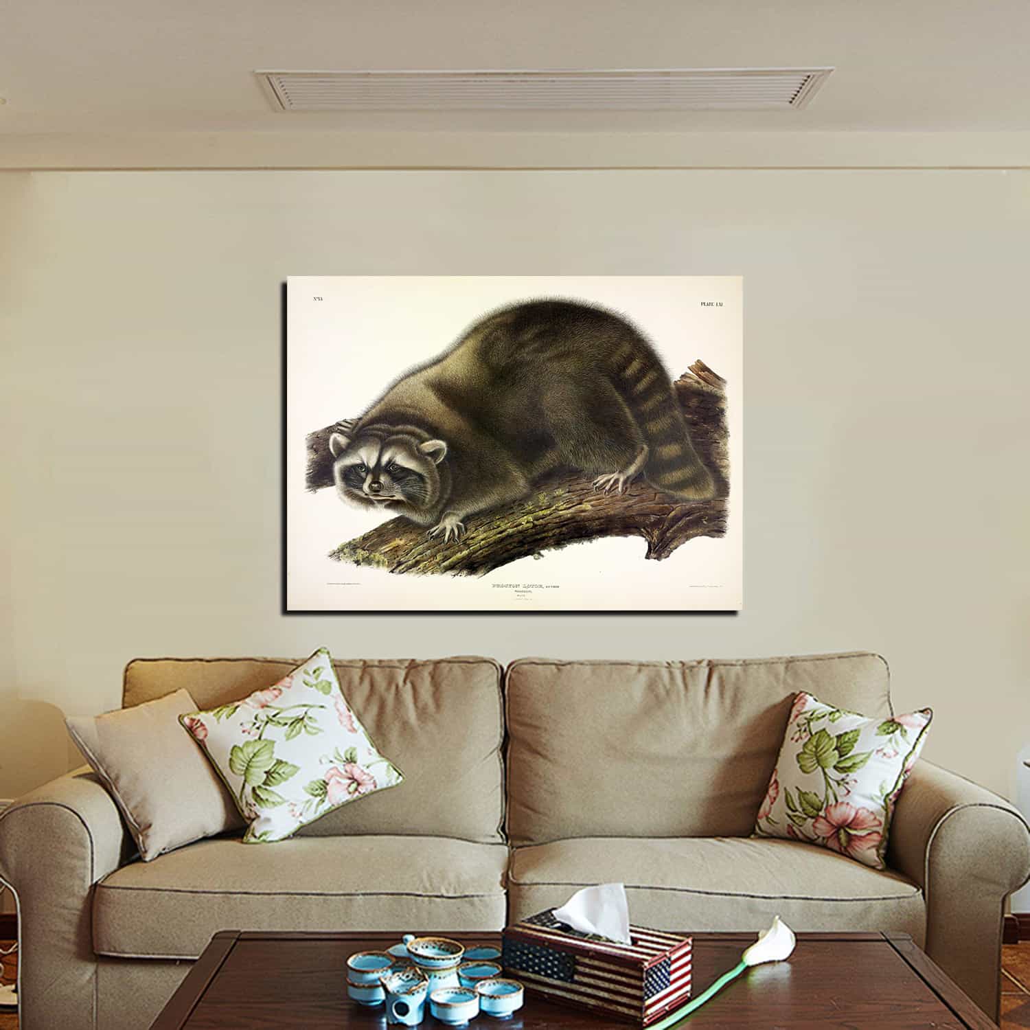 Cuvier Raccoon Canvas Art