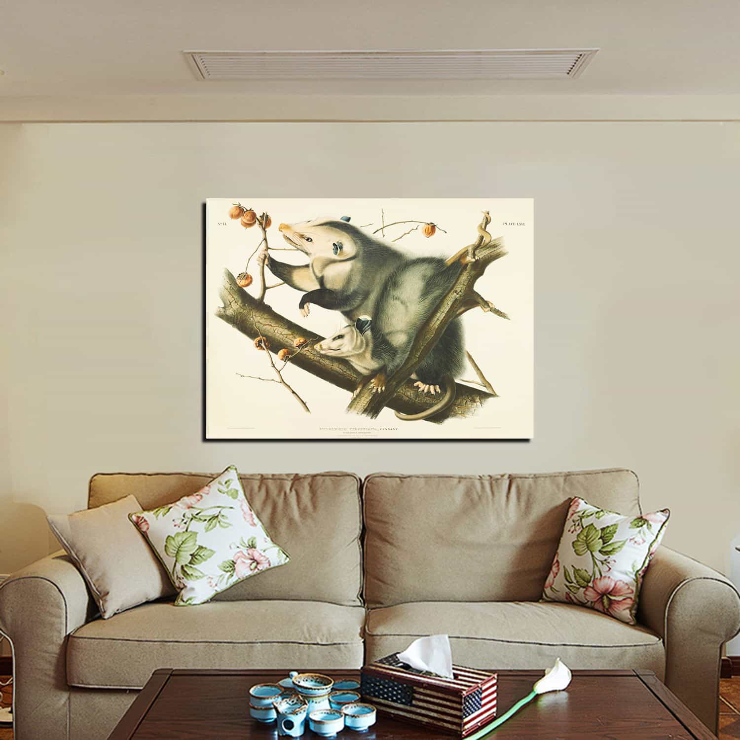 Didelphis Virginiana Canvas Art