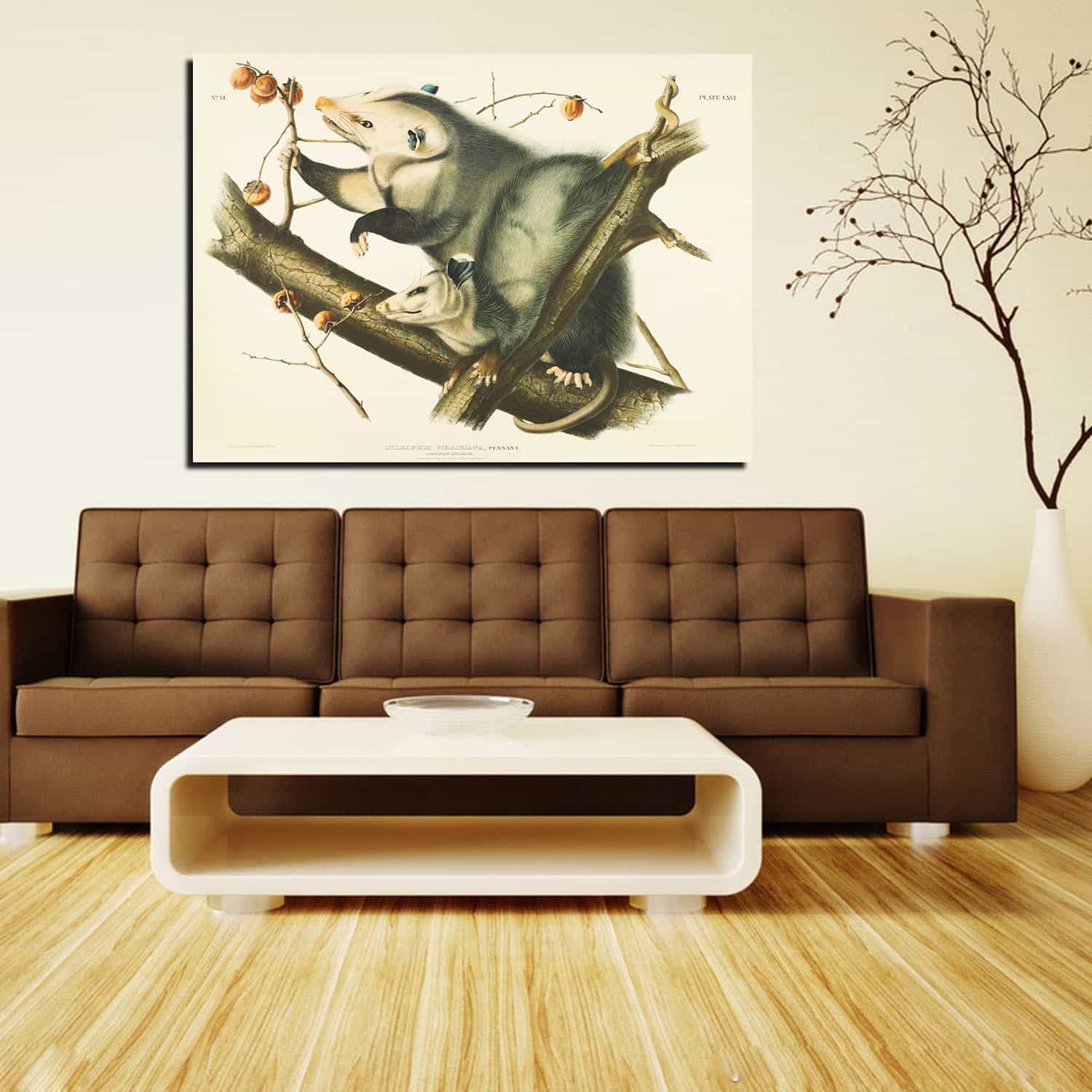 Didelphis Virginiana Canvas Art