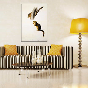 Douglas Squirrel Canvas Art