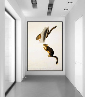Douglas Squirrel Canvas Art
