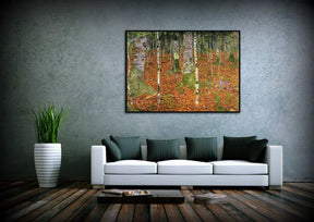 Farmhouse With Birch Trees Canvas Art